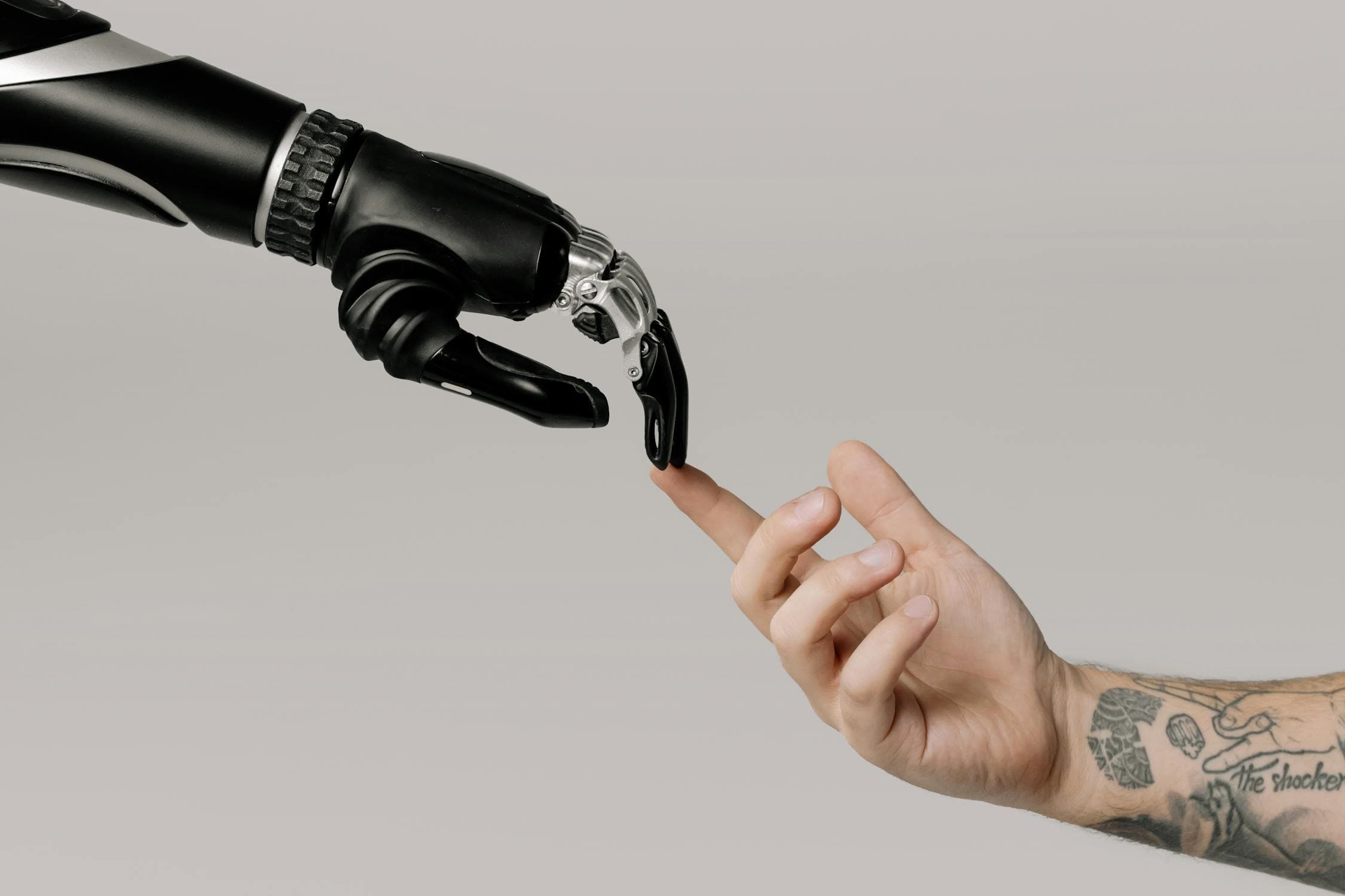 Getting Started With an AI Assistant for Your Business